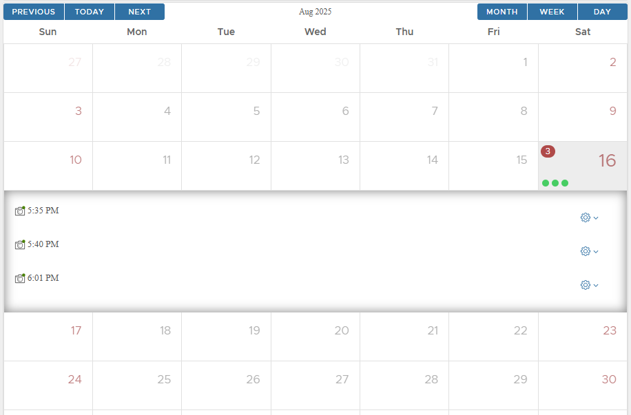 Snapshot calendar