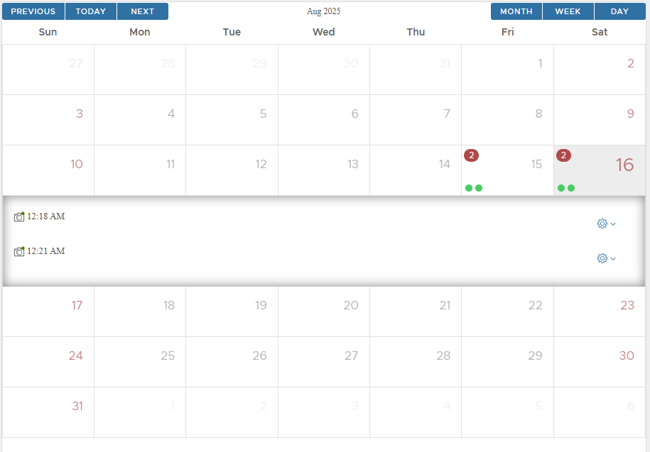 Snapshot calendar