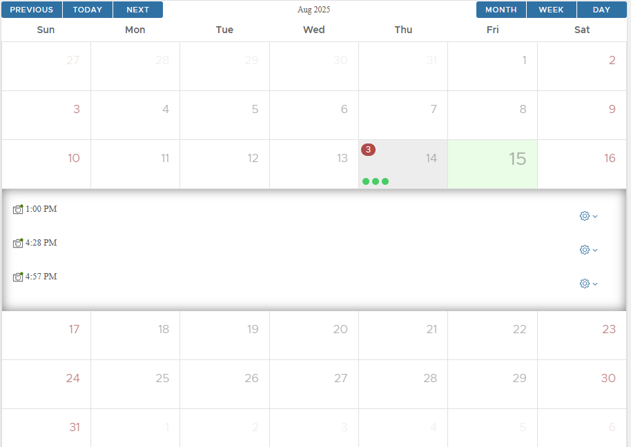 Snapshots calendar